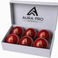 Pack of 6 Red Balls Customizable Cricket Leather Hard ball AP-1500